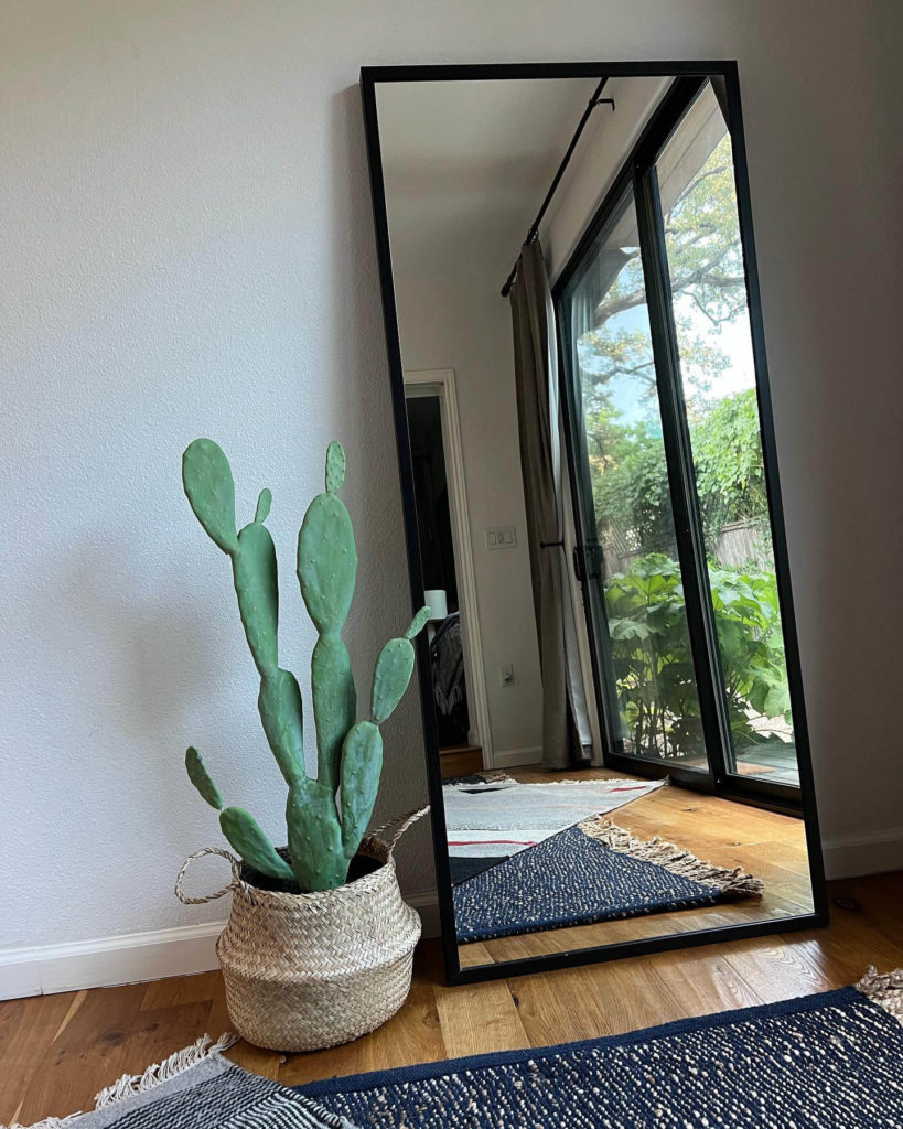 Tall mirror and cactus in Bouldin Creek in Central Austin, Texas